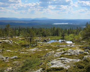 Obraz premium Finnish Lapland summer scenery from fell Sarkitunturi
