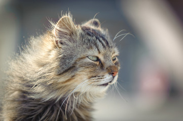 Meeresbrise weht um die Nase