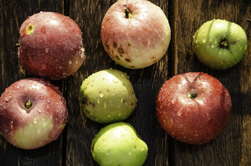 Collected apples in the garden on a wooden background.
