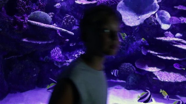 Closeup of young kid watching tropical fish in huge aquarium with coral reef at oceanarium. Real time full hd video footage.