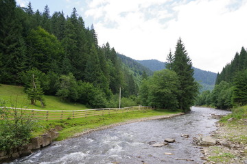 mountain river green trees and mountains