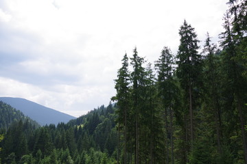 Fototapeta premium mountain landscapes among fields and green trees