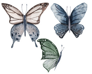 Watercolor butterfly