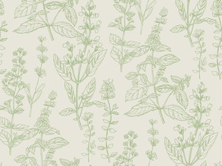 Hand drawn herbal sketch seamless pattern for surface design
