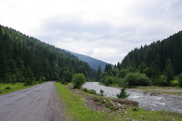 Obraz premium road in the mountains among green trees