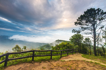 Phu-Ruea, Landscape sea of mist on the mountain in Loei province  Thailand.