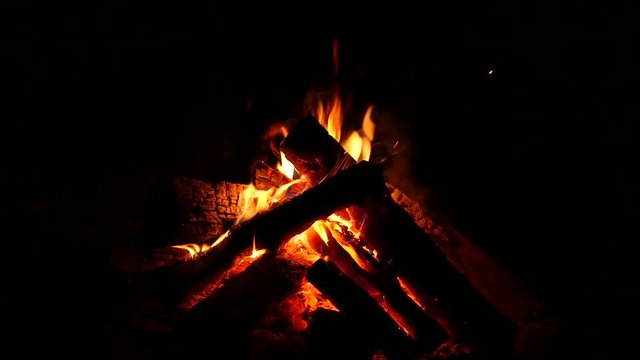 Campfire burning nice in the dark. Firewood in the fire and flames. slow motion