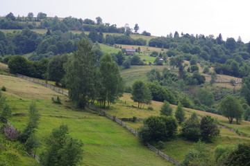 mountain landscapes among fields and green trees