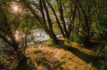 Fototapeta na wymiar summer beauty Hungary landscape by Danube river in 2018 Zebegény