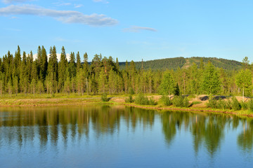Fototapeta na wymiar Summer landscape. Evening lake with trees reflection in Finnish Lapland