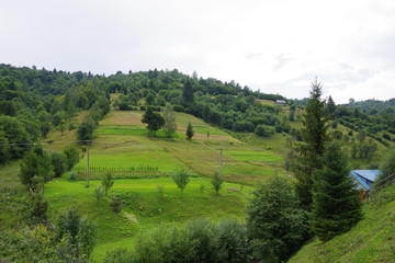 Obraz premium mountain landscapes among fields and green trees