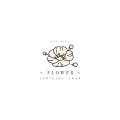 Vector template logo or emblem - feminine design - flower anemone. Logo in trendy linear style.