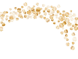 Gold seashell vector graphics, pearl bivalved mollusks illustration.