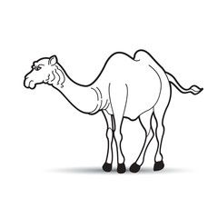 black and white camel on smooth shadow vector drawing