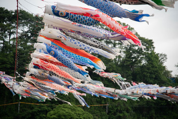 boys festival in japan