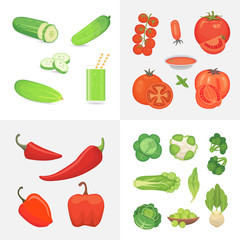 Organic farm vegan food illustration. Healthy lifestyle vector design elements. Vector vegetables: tomato, cucumber, pepper and cabbge set icons in cartoon style.
