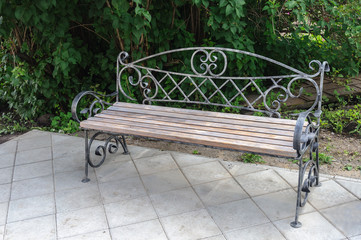 Beautiful bench in park