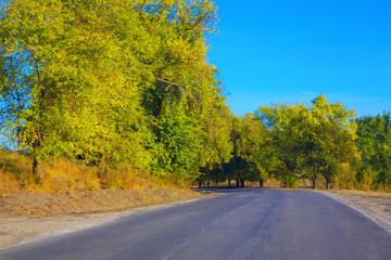 winding asphalt road