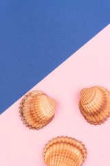 Colorful holiday background with shells