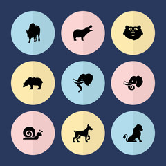 Set of 9 wildlife filled icons