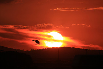 Voando para o pôr do sol