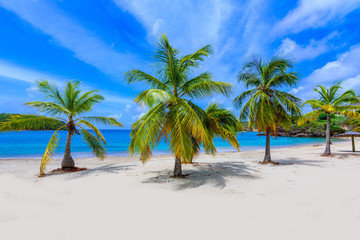 Obraz na płótnie Canvas Galleon Beach on Caribbean island Antigua, English Harbour, paradise bay at tropical island in the Caribbean Sea