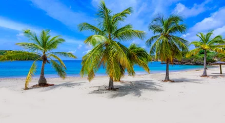 Gordijnen Galjoenstrand op Caraïbisch eiland Antigua, Engelse Haven, paradijsbaai bij tropisch eiland in de Caraïbische Zee © Simon Dannhauer