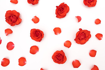 Floral pattern made of red roses on white background. Flat lay, top view. Valentine's background