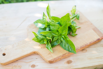 fragrant basil on wooden board