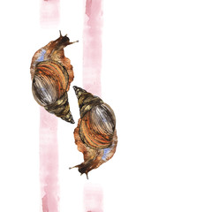 A wet, damp, large snail crawls. Wet, wet trace. Watercolor. Illustration