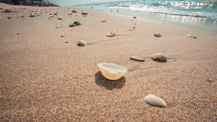 Wave of the sea on the beach