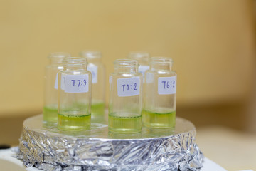 Analysis of fish meal in laboratory.