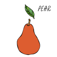 Red Pear and Leaf. Fresh Fruit Nutrition Diet. Autumn or Fall Vegetable Harvest Collection. Realistic Hand Drawn High Quality Vector Illustration. Doodle Style.