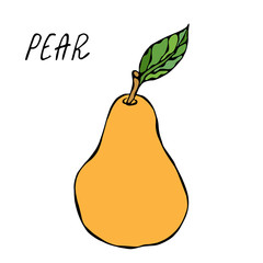 Yellow Pear and Leaf. Fresh Fruit Nutrition Diet. Autumn or Fall Vegetable Harvest Collection. Realistic Hand Drawn High Quality Vector Illustration. Doodle Style.