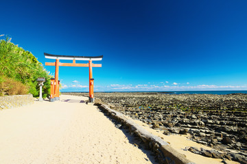 Washboard of Demon with torii in Aoshima, Miyazaki, Japan