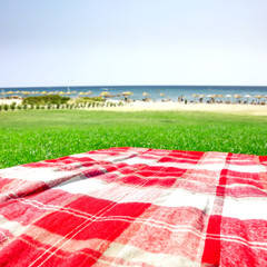Summer photo of empty blanket on grass and free space for your decoration. 