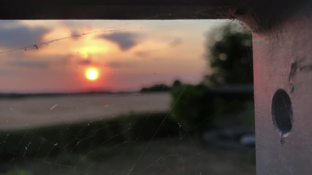 Sunset over feald seen thru spiderweb