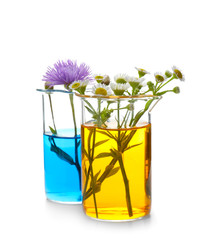 Beakers with flowers on white background