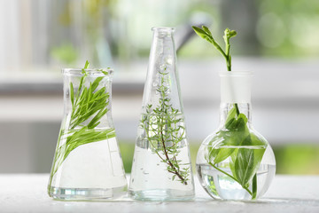 Flasks with plants on blurred background
