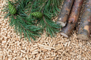 Coniferous biomass - conch, fir, pine, wood, biomass