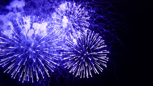 Amazing fireworks flowers on the night sky. Brightly blue fireworks on dark black color background. Holiday relax time with a pyrotechnic show. Festive event accompanied by holiday salves