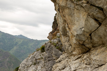 View from the top of the Altai mountains in Siberia with green plants and trees