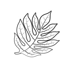 breadfruit leaf isolated on white background vector illustration