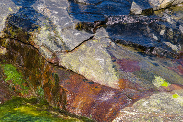Algen, Moos und Steine / Kvalvika - Lofoten