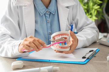 Dentist with jaw model and toothbrush sitting at table in office