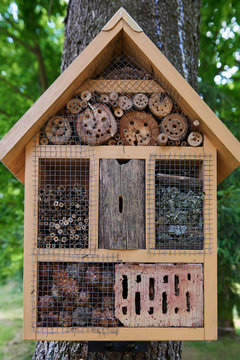 Insect hotel in the garden.