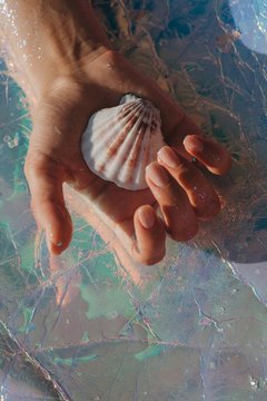 Woman's hand holding a seashell