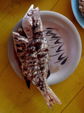 Grilled Fish On Plate