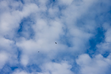 Nature of beautiful cloud on blue sky. Bright on day.
