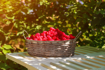 Basket with fresh raspberries on wooden table outdoors